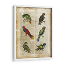 Loros Anticuario I - Vision Studio | Cuadro decorativo de Canvas Lab