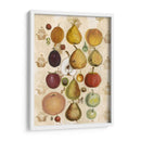Botánico Comestible Ii - Naomi McCavitt | Cuadro decorativo de Canvas Lab