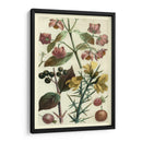 Frutas Y Follaje I - Vision Studio | Cuadro decorativo de Canvas Lab