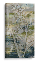 Gossamer Blooms Ii - Megan Meagher | Cuadro decorativo de Canvas Lab