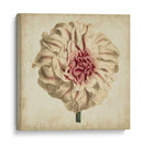 Pop Floral Vii - Vision Studio | Cuadro decorativo de Canvas Lab