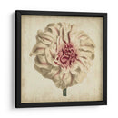 Pop Floral Vii - Vision Studio | Cuadro decorativo de Canvas Lab