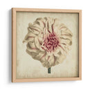 Pop Floral Vii - Vision Studio | Cuadro decorativo de Canvas Lab