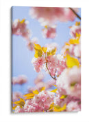 Sakura | Cuadro decorativo de Canvas Lab