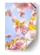 Sakura | Cuadro decorativo de Canvas Lab