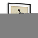 Pares De Aves Edwards V - George Edwards | Cuadro decorativo de Canvas Lab