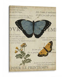 Espécimen De La Belleza Natural I - Vision Studio | Cuadro decorativo de Canvas Lab