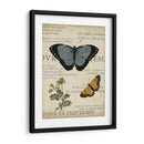 Espécimen De La Belleza Natural I - Vision Studio | Cuadro decorativo de Canvas Lab