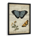 Espécimen De La Belleza Natural I - Vision Studio | Cuadro decorativo de Canvas Lab