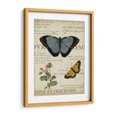 Espécimen De La Belleza Natural I - Vision Studio | Cuadro decorativo de Canvas Lab