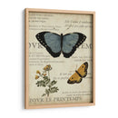 Espécimen De La Belleza Natural I - Vision Studio | Cuadro decorativo de Canvas Lab