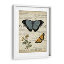 Espécimen De La Belleza Natural I - Vision Studio | Cuadro decorativo de Canvas Lab