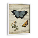 Espécimen De La Belleza Natural I - Vision Studio | Cuadro decorativo de Canvas Lab