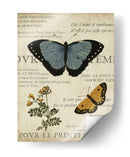 Espécimen De La Belleza Natural I - Vision Studio | Cuadro decorativo de Canvas Lab