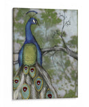 Reflexiones De Pavo Real Ii - Jennifer Goldberger | Cuadro decorativo de Canvas Lab