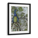 Reflexiones De Pavo Real Ii - Jennifer Goldberger | Cuadro decorativo de Canvas Lab