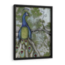 Reflexiones De Pavo Real Ii - Jennifer Goldberger | Cuadro decorativo de Canvas Lab