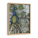 Reflexiones De Pavo Real Ii - Jennifer Goldberger | Cuadro decorativo de Canvas Lab