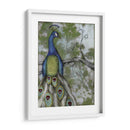 Reflexiones De Pavo Real Ii - Jennifer Goldberger | Cuadro decorativo de Canvas Lab