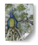 Reflexiones De Pavo Real Ii - Jennifer Goldberger | Cuadro decorativo de Canvas Lab