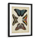 Visualización De Mariposas I - Vision Studio | Cuadro decorativo de Canvas Lab