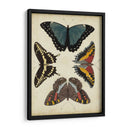 Visualización De Mariposas I - Vision Studio | Cuadro decorativo de Canvas Lab