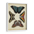 Visualización De Mariposas I - Vision Studio | Cuadro decorativo de Canvas Lab