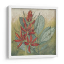 Carmesí Tropical I - Megan Meagher | Cuadro decorativo de Canvas Lab