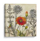 Amapola Emergente - Megan Meagher | Cuadro decorativo de Canvas Lab