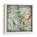 Postellamhart Proopicals Iii - Jennifer Goldberger | Cuadro decorativo de Canvas Lab