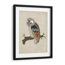 Chevron Owl Ii - June Erica Vess | Cuadro decorativo de Canvas Lab