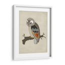 Chevron Owl Ii - June Erica Vess | Cuadro decorativo de Canvas Lab