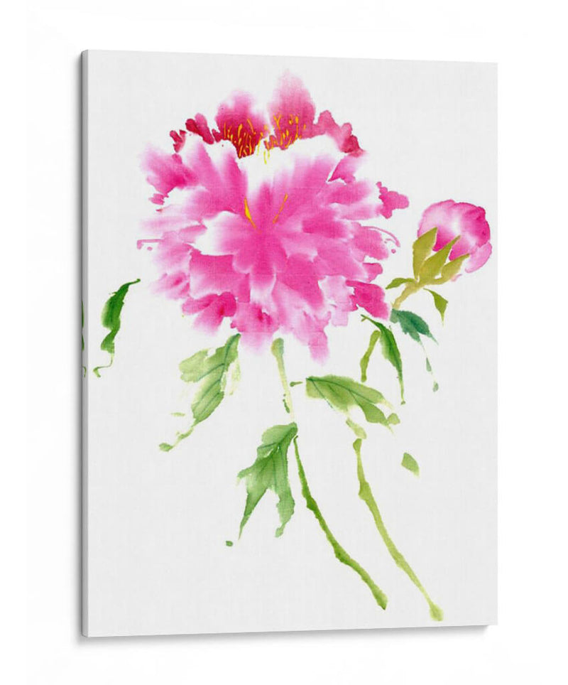 Peonies En Rosa I - Nan Rae | Cuadro decorativo de Canvas Lab