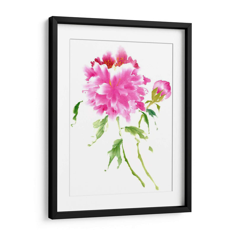 Peonies En Rosa I - Nan Rae | Cuadro decorativo de Canvas Lab