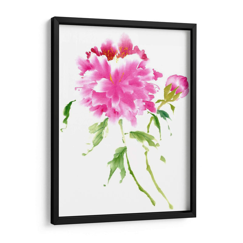 Peonies En Rosa I - Nan Rae | Cuadro decorativo de Canvas Lab