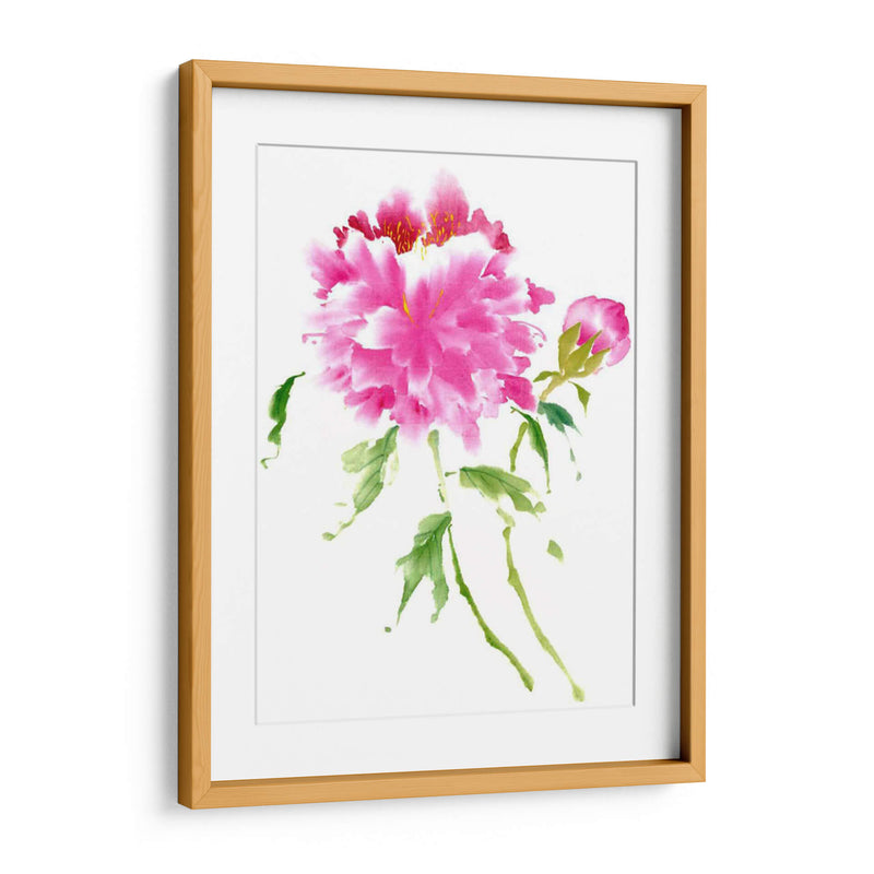 Peonies En Rosa I - Nan Rae | Cuadro decorativo de Canvas Lab