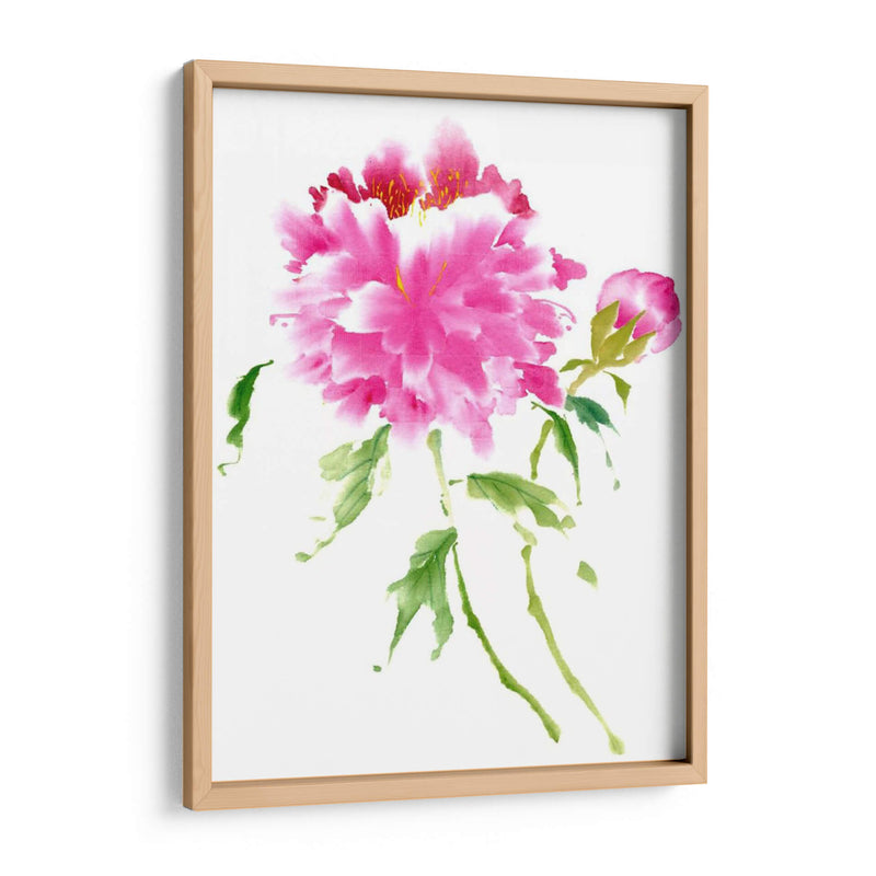 Peonies En Rosa I - Nan Rae | Cuadro decorativo de Canvas Lab