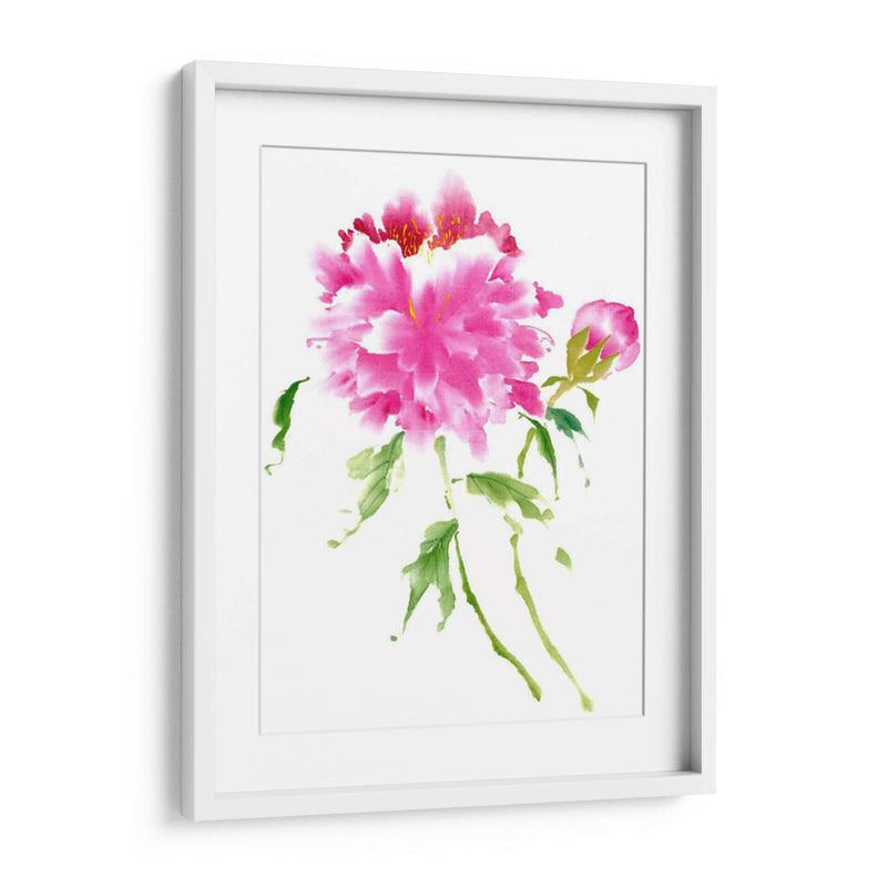 Peonies En Rosa I - Nan Rae | Cuadro decorativo de Canvas Lab