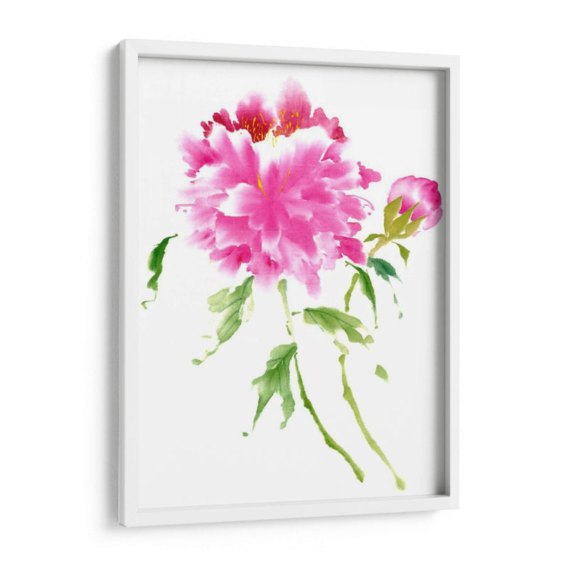 Peonies En Rosa I - Nan Rae | Cuadro decorativo de Canvas Lab