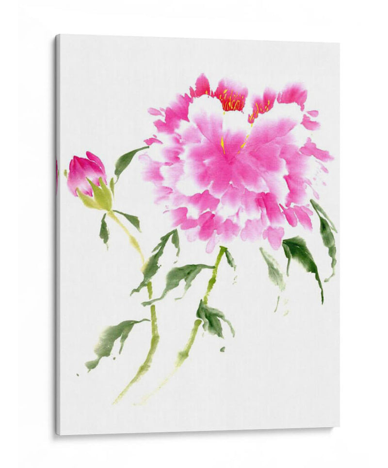 Peonies En Rosa Ii - Nan Rae | Cuadro decorativo de Canvas Lab