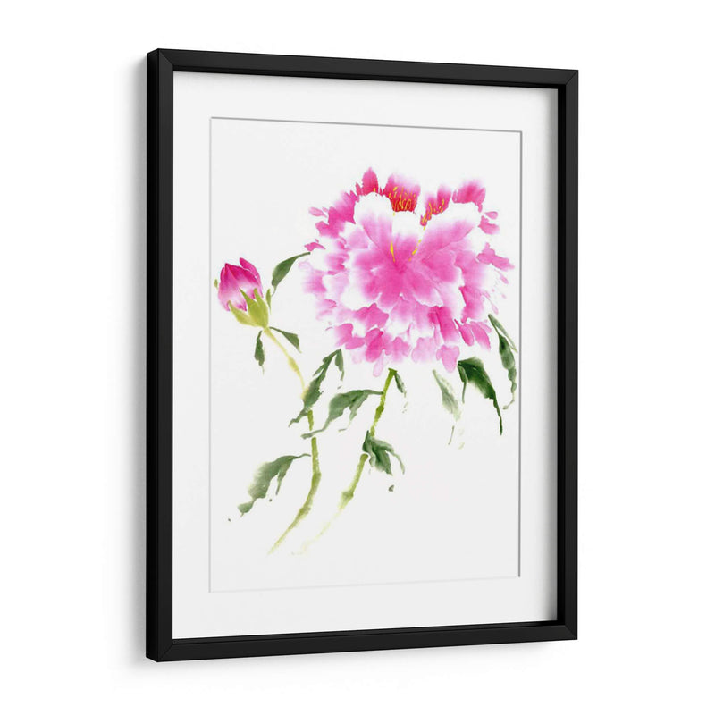 Peonies En Rosa Ii - Nan Rae | Cuadro decorativo de Canvas Lab