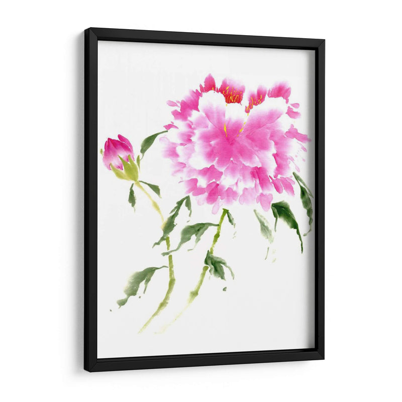 Peonies En Rosa Ii - Nan Rae | Cuadro decorativo de Canvas Lab