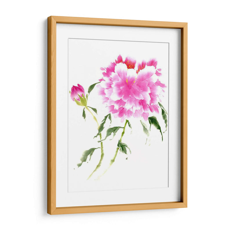 Peonies En Rosa Ii - Nan Rae | Cuadro decorativo de Canvas Lab