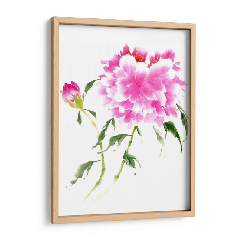 Peonies En Rosa Ii - Nan Rae | Cuadro decorativo de Canvas Lab