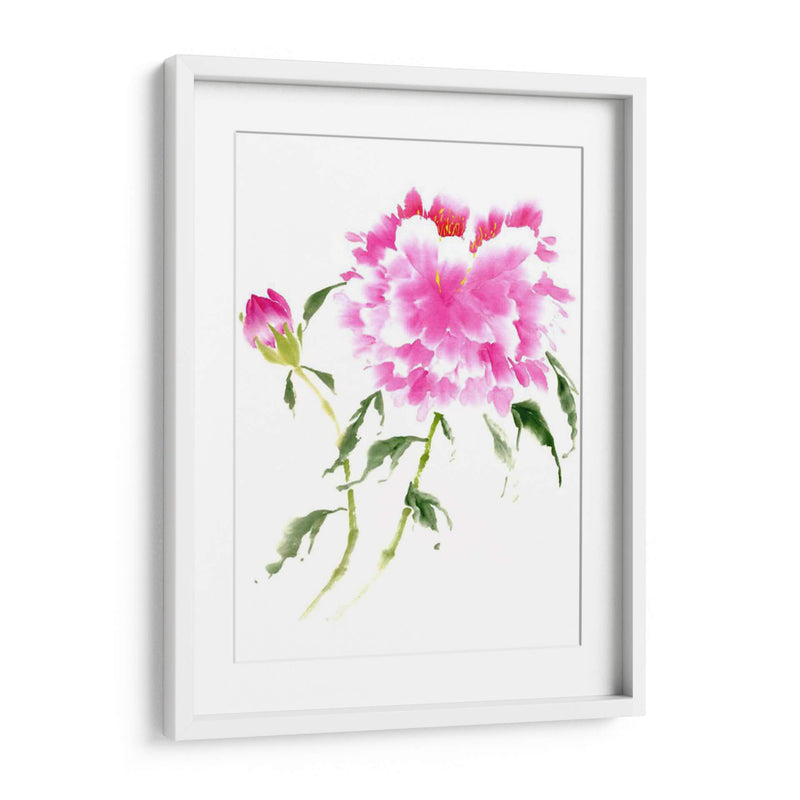 Peonies En Rosa Ii - Nan Rae | Cuadro decorativo de Canvas Lab