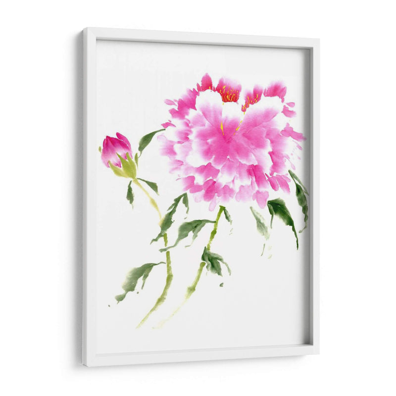 Peonies En Rosa Ii - Nan Rae | Cuadro decorativo de Canvas Lab