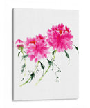 Peonías En Rosa Iii - Nan Rae | Cuadro decorativo de Canvas Lab