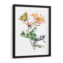 Rapto De Verano I - Nan Rae | Cuadro decorativo de Canvas Lab