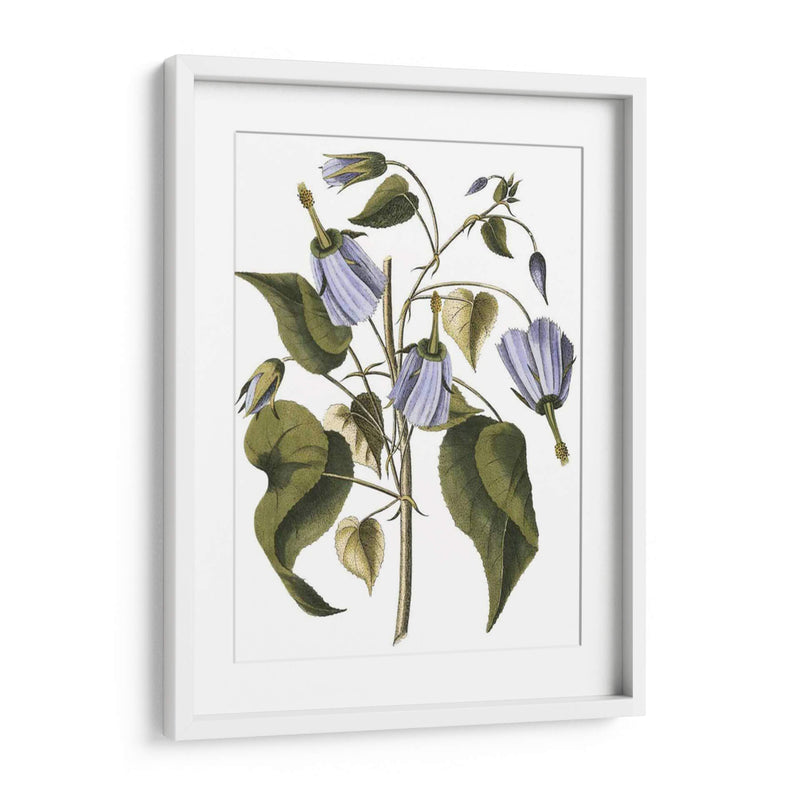 Lavanda Floral I - Vision Studio | Cuadro decorativo de Canvas Lab