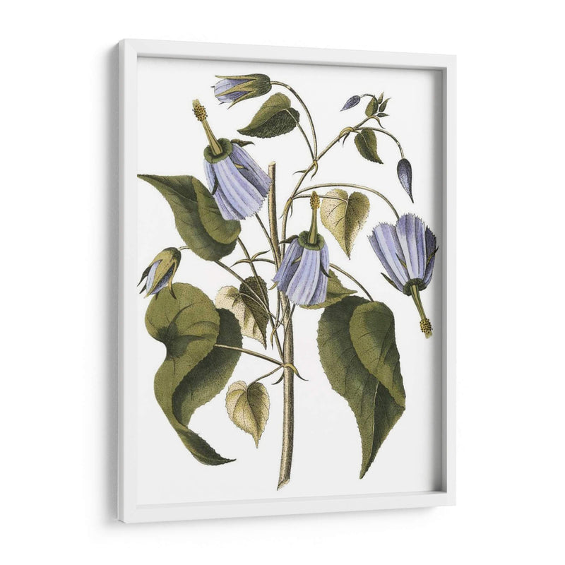 Lavanda Floral I - Vision Studio | Cuadro decorativo de Canvas Lab